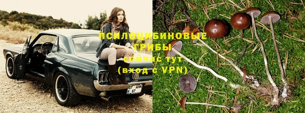 винт Нефтегорск