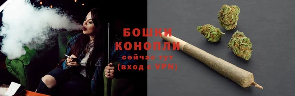 индика Бабаево