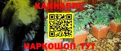 индика Беслан