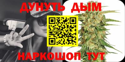 индика Беслан