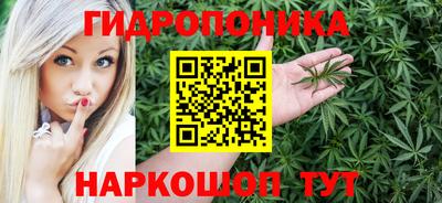 индика Беслан