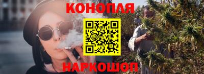 индика Беслан