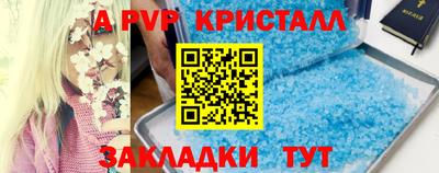 индика Беслан