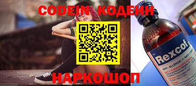 индика Беслан