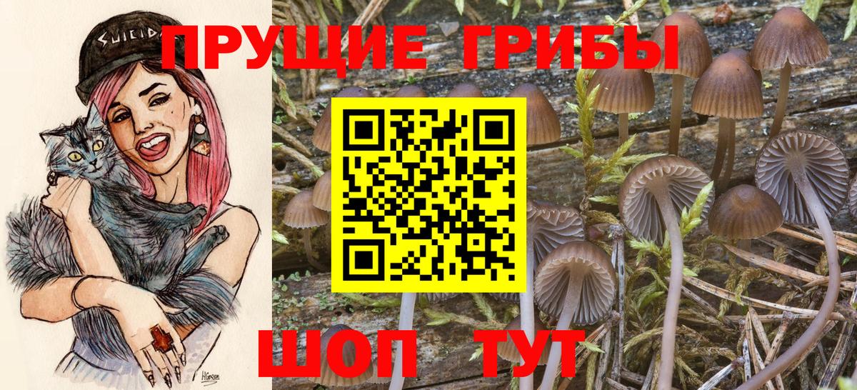 Псилоцибиновые грибы мицелий Воткинск
