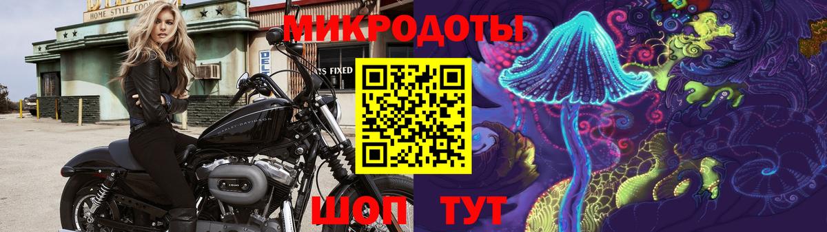 Псилоцибиновые грибы Cubensis  Воткинск  Галлюциногенные грибы мицелий 