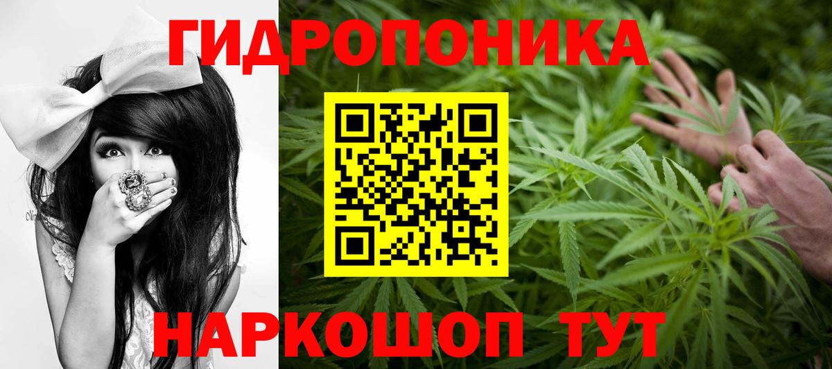 Конопля сатива  Канабис конопля  Марихуана тримм  Воткинск  Вход с VPN 